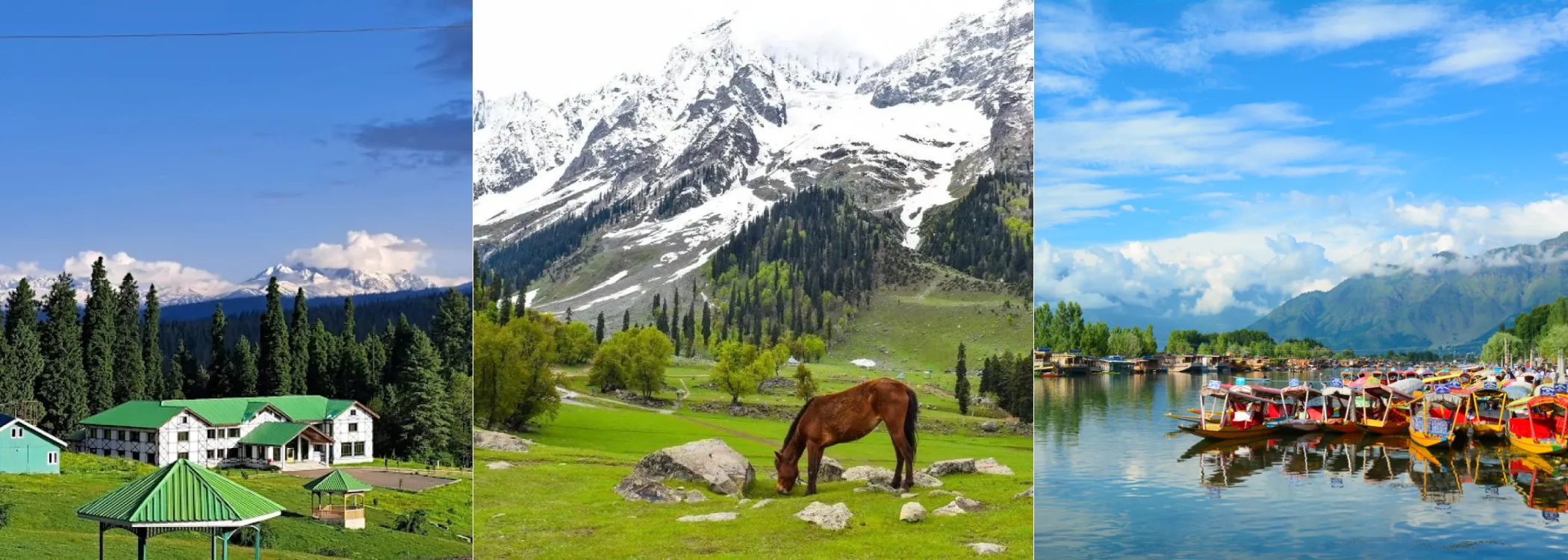 Heavenly Kashmir Family Retreat