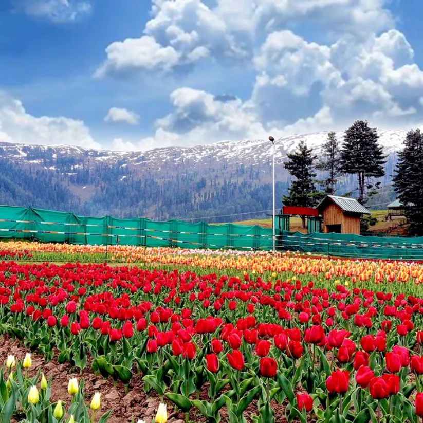 Jammu Serenity Escape