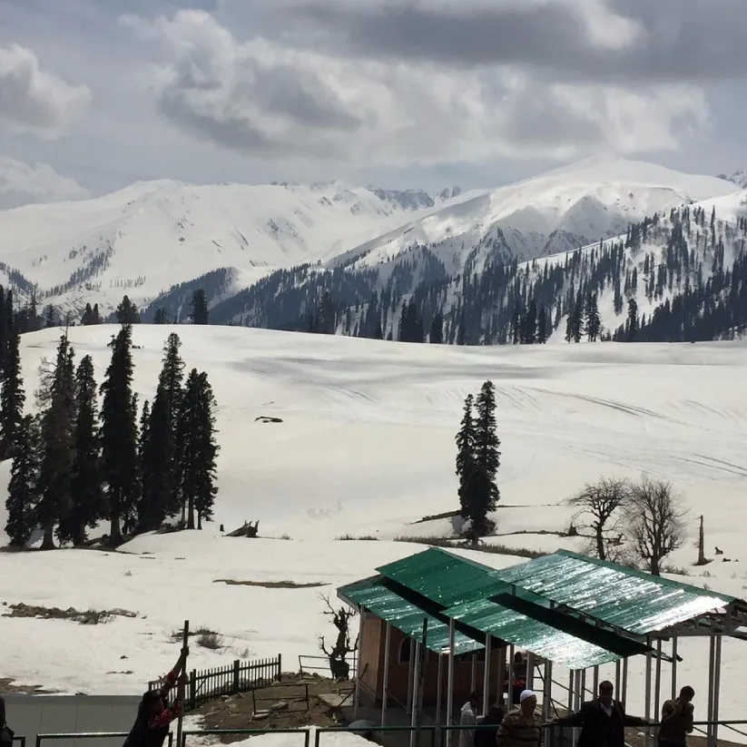 Kashmir Valley Delight